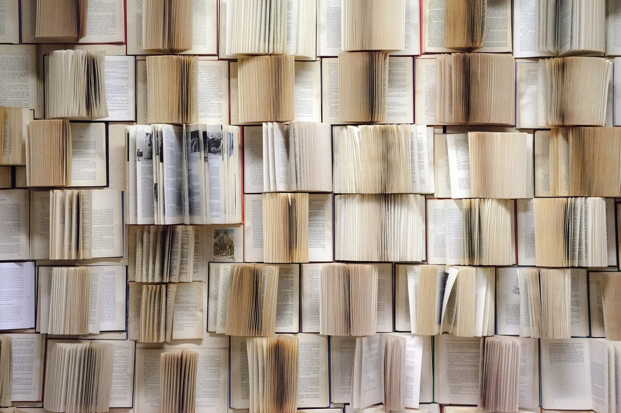 I 2 migliori libri del 2024 fino ad oggi